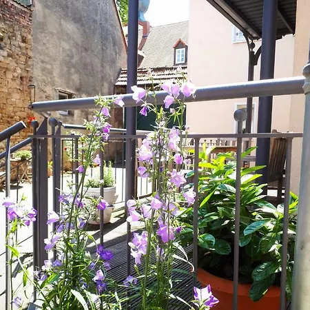 Alte Backstube - Ferienwohnung & Appartement Erbes-Budesheim Exterior photo
